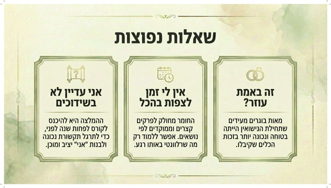 דף 13